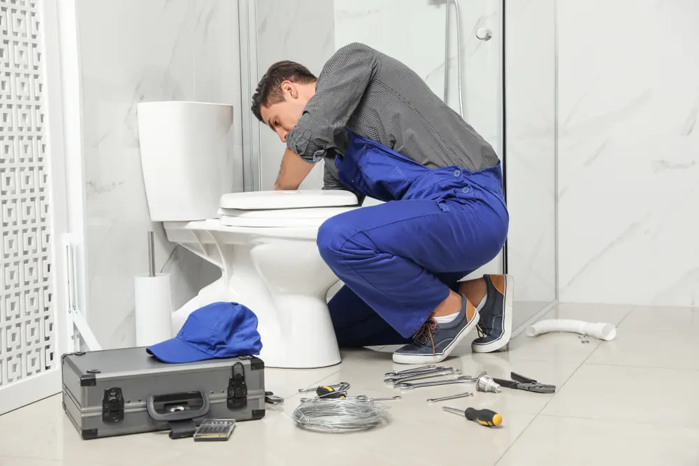 Toilet Installation in New Bern